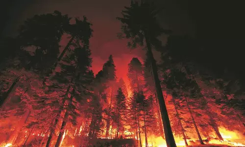 ജപ്പാനില്‍ തീപിടിത്തം; നൂറിലധികം വീടുകള്‍ കത്തനശിച്ചു