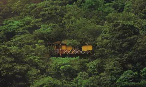 വയനാട്ടില്‍ ഗര്‍ഭിണിയായ ആദിവാസി യുവതിയെ കാണാതായി