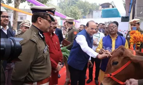 തിഹാര് ജയിലിലെ ഏകാന്ത തടവുകാര്ക്ക് പശുതെറാപ്പിയും തിഹാര് ജയിലിലെ ഏകാന്ത തടവുകാര്ക്ക് പശുതെറാപ്പിയും