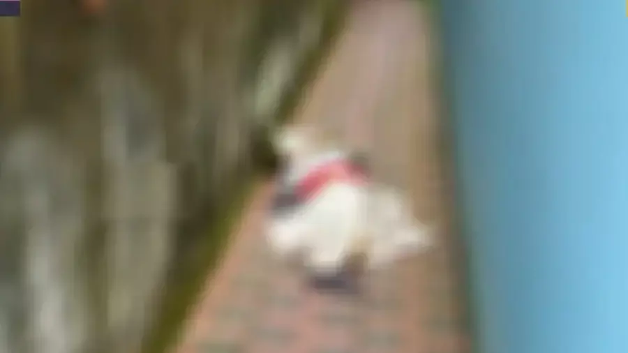 തേവരയില് സ്ത്രീയുടെ മൃതദേഹം ചാക്കില് പൊതിഞ്ഞനിലയില്; ഒരാള് കസ്റ്റഡിയില് തേവരയില് സ്ത്രീയുടെ മൃതദേഹം ചാക്കില് പൊതിഞ്ഞനിലയില്; ഒരാള് കസ്റ്റഡിയില്