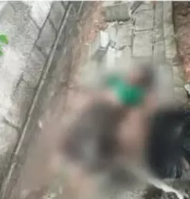 മതില് ഇടിഞ്ഞുവീണ് വയോധിക മരിച്ചു മതില് ഇടിഞ്ഞുവീണ് വയോധിക മരിച്ചു