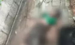 മതില്‍ ഇടിഞ്ഞുവീണ് വയോധിക മരിച്ചു