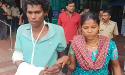 കാട്ടാന ആക്രമണം; ആദിവാസി യുവാവിന് പരിക്ക് കാട്ടാന ആക്രമണം; ആദിവാസി യുവാവിന് പരിക്ക്