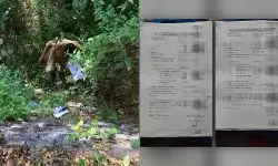 പട്ടികവര്‍ഗ വിദ്യാര്‍ഥികളുടെ അപേക്ഷകള്‍ കുറ്റിക്കാട്ടില്‍ തള്ളിയ സംഭവം; ട്രൈബല്‍ എക്സ്റ്റന്‍ഷന്‍ ഓഫീസര്‍ക്ക് കാരണം കാണിക്കല്‍ നോട്ടീസ്