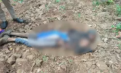 കാട്ടാന ആക്രമണം; അതിഥിതൊഴിലാളി കൊല്ലപ്പെട്ടു