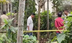 ഒഴിഞ്ഞ പറമ്പില്‍ നിന്ന് അസ്ഥികളും തലയോട്ടിയും കണ്ടെത്തി