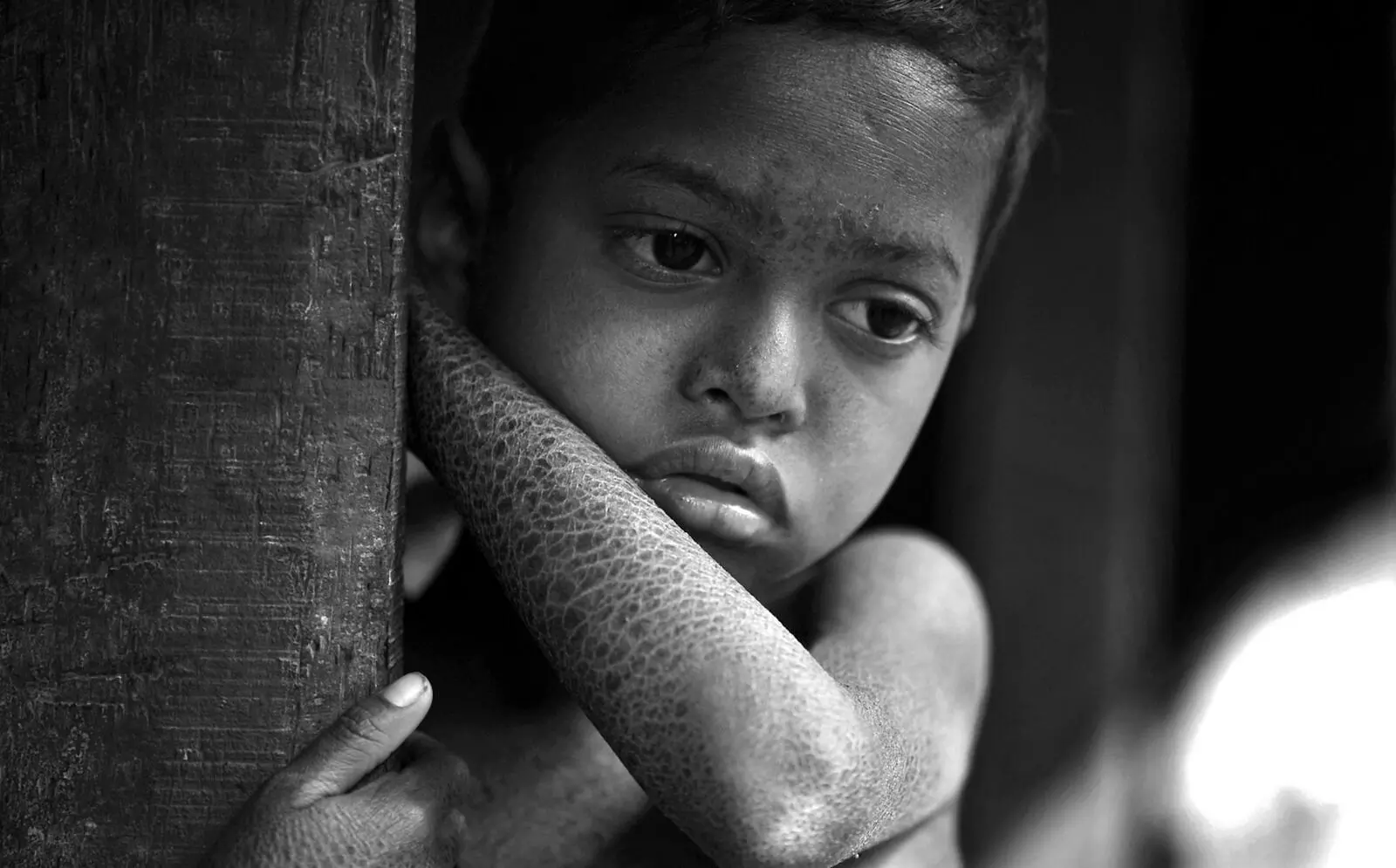 എന്‍ഡോസള്‍ഫാന്റെ നൂറുകണക്കിന് ബാരലുകള്‍ കാണാതായ സംഭവം; വിശദമായ റിപോര്‍ട്ട് നല്‍കാന്‍ ദേശീയ ഹരിത ട്രിബ്യൂണല്‍ നിര്‍ദേശം