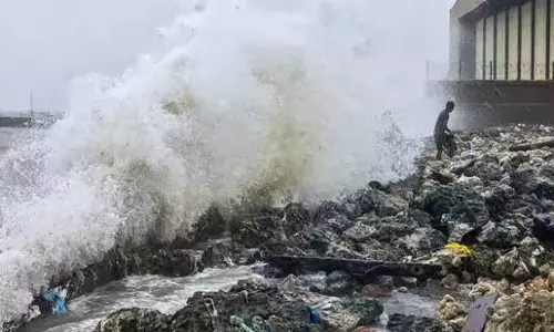 ശ്രീലങ്കയിലെ ദിത്വ ചുഴലിക്കാറ്റ്: മരണം 200 കവിഞ്ഞു.  350 മലയാളികൾ വ്യാമസേന വിമാനത്തിൽ തിരുവനന്തപുരത്ത് എത്തി