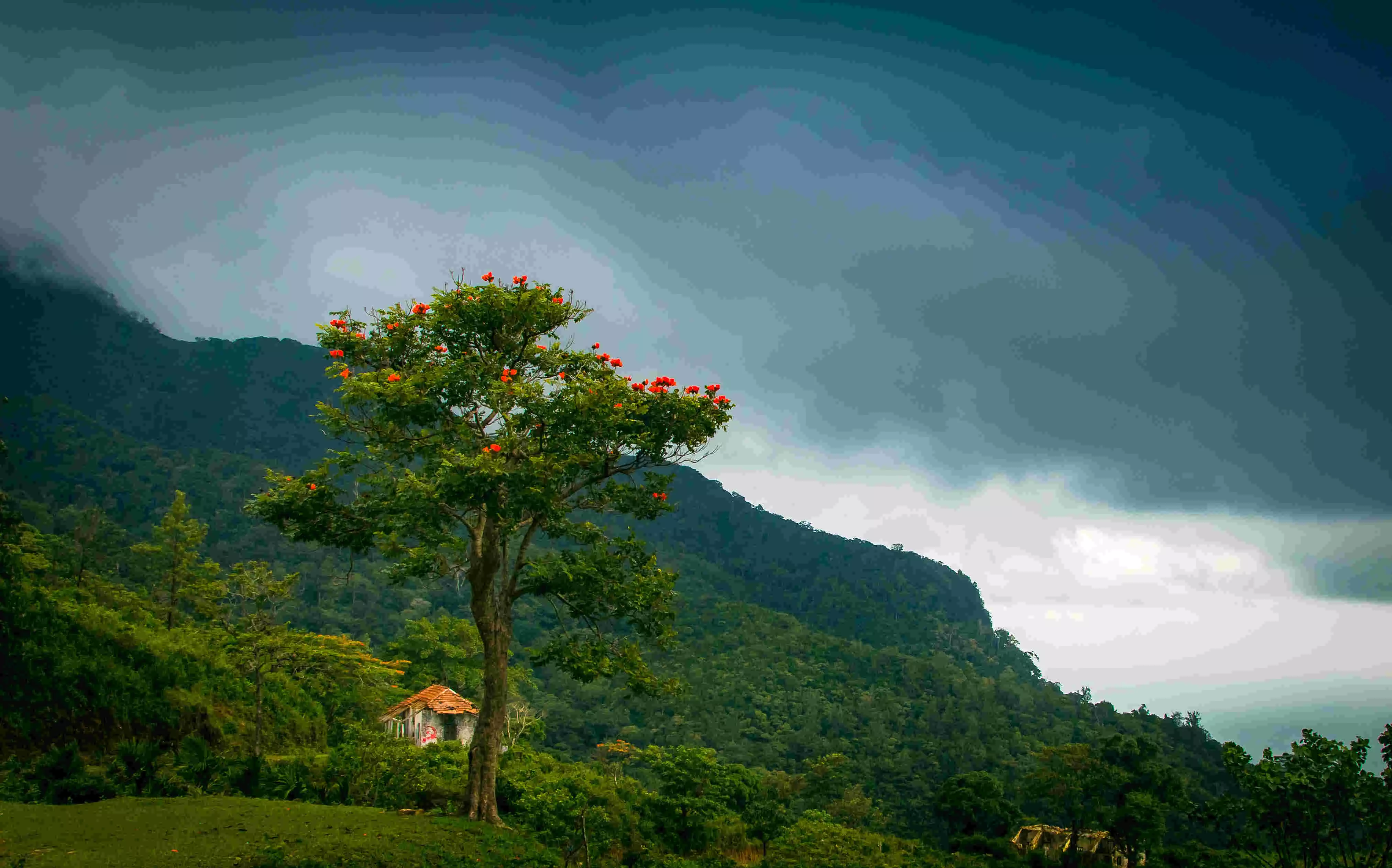 കടുവകളുടെ എണ്ണം എടുക്കാന് പോയ വനിതാ ഫോറസ്റ്റ് ഉദ്യോഗസ്ഥ ഉള്പ്പെടെ മൂന്നു പേരേ കാണാനില്ല കടുവകളുടെ എണ്ണം എടുക്കാന് പോയ വനിതാ ഫോറസ്റ്റ് ഉദ്യോഗസ്ഥ ഉള്പ്പെടെ മൂന്നു പേരേ കാണാനില്ല