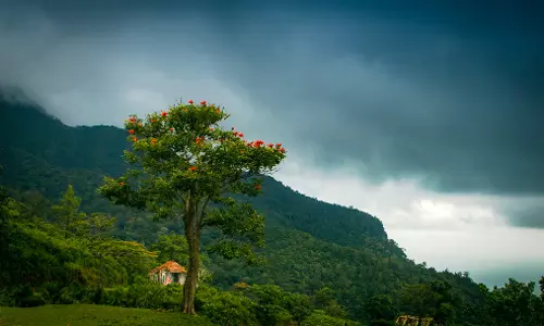 കടുവകളുടെ എണ്ണം എടുക്കാന്‍ പോയ വനിതാ ഫോറസ്റ്റ് ഉദ്യോഗസ്ഥ ഉള്‍പ്പെടെ മൂന്നു പേരേ കാണാനില്ല