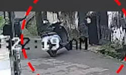 കോഴിക്കോട് തിരുവണ്ണൂരില്‍ തെരുവുനായ ആക്രമണം; മദ്രസ വിദ്യാര്‍ഥി രക്ഷപ്പെട്ടത് തലനാരിഴയ്ക്ക്