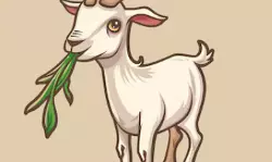 ആട് വാഴക്കൃഷി തിന്നതിനെച്ചൊല്ലി തര്ക്കം; ഒരാള്ക്ക് വെട്ടേറ്റു ആട് വാഴക്കൃഷി തിന്നതിനെച്ചൊല്ലി തര്ക്കം; ഒരാള്ക്ക് വെട്ടേറ്റു