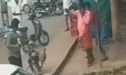 കാസര്കോഡ് തെരുവുനായ ആക്രമണം; എട്ടുവയസ്സുകാരന് കടിയേറ്റു കാസര്കോഡ് തെരുവുനായ ആക്രമണം; എട്ടുവയസ്സുകാരന് കടിയേറ്റു