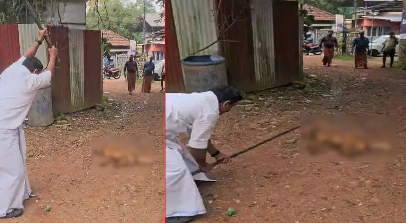 കൊല്ലത്ത് തെരുവുനായയെ തല്ലിക്കൊന്നു; യുഡിഎഫ് സ്ഥാനാര്ഥിക്കെതിരേ കേസ് കൊല്ലത്ത് തെരുവുനായയെ തല്ലിക്കൊന്നു; യുഡിഎഫ് സ്ഥാനാര്ഥിക്കെതിരേ കേസ്