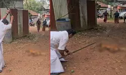 കൊല്ലത്ത് തെരുവുനായയെ തല്ലിക്കൊന്നു; യുഡിഎഫ് സ്ഥാനാര്‍ഥിക്കെതിരേ കേസ്