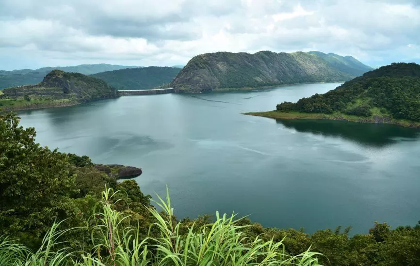 ഇടുക്കിയില് വോട്ട് ചെയ്ത് മടങ്ങിയ യുവാവ് ചെക്ക് ഡാമില് മുങ്ങിമരിച്ചു ഇടുക്കിയില് വോട്ട് ചെയ്ത് മടങ്ങിയ യുവാവ് ചെക്ക് ഡാമില് മുങ്ങിമരിച്ചു