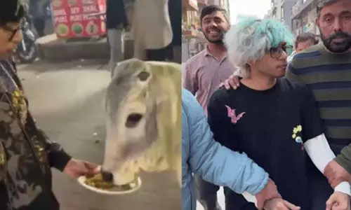 പശുവിന് ചിക്കന് മോമോസ് നല്കിയ യൂട്യൂബര് അറസ്റ്റില്; മതവികാരം വ്രണപ്പെടുത്തിയെന്നാണ് ആരോപണം പശുവിന് ചിക്കന് മോമോസ് നല്കിയ യൂട്യൂബര് അറസ്റ്റില്; മതവികാരം വ്രണപ്പെടുത്തിയെന്നാണ് ആരോപണം