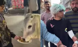 പശുവിന് ചിക്കന് മോമോസ് നല്കിയ യൂട്യൂബര് അറസ്റ്റില്; മതവികാരം വ്രണപ്പെടുത്തിയെന്നാണ് ആരോപണം പശുവിന് ചിക്കന് മോമോസ് നല്കിയ യൂട്യൂബര് അറസ്റ്റില്; മതവികാരം വ്രണപ്പെടുത്തിയെന്നാണ് ആരോപണം