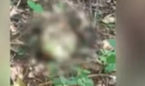 കോഴിക്കോട് നരിക്കുനിയില്‍ മനുഷ്യന്റെ അസ്ഥികൂടം കണ്ടെത്തി