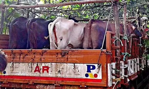 പശുക്കശാപ്പ് നിയമഭേദഗതി മരവിപ്പിച്ച് കര്ണാടക സര്ക്കാര് പശുക്കശാപ്പ് നിയമഭേദഗതി മരവിപ്പിച്ച് കര്ണാടക സര്ക്കാര്