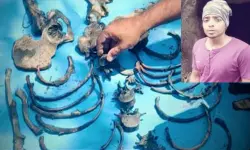 കോഴിക്കോട് ചതുപ്പില് കണ്ടെത്തിയ മൃതദേഹഭാഗങ്ങള് വിജിലിന്റേതെന്ന് ഡിഎന്എ ഫലം കോഴിക്കോട് ചതുപ്പില് കണ്ടെത്തിയ മൃതദേഹഭാഗങ്ങള് വിജിലിന്റേതെന്ന് ഡിഎന്എ ഫലം