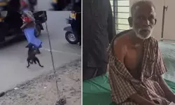 കല്ലറയില്‍ തെരുവുനായ ആക്രമണം; വയോധികന് പരിക്ക്