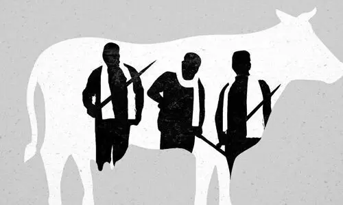 കാമുകനൊപ്പം ജീവിക്കാന്‍ ഭര്‍ത്താവിനെ പശുക്കശാപ്പ് കേസില്‍ കുടുക്കിയ യുവതിയെ തേടി പോലിസ്