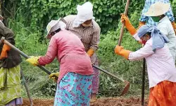വിബി ജി റാം ജി ബില്ലിലെ ചര്ച്ച പൂര്ത്തിയായി; ചര്ച്ചയ്ക്ക് ശിവരാജ് സിങ് ചൗഹാന് മറുപടി നല്കും വിബി ജി റാം ജി ബില്ലിലെ ചര്ച്ച പൂര്ത്തിയായി; ചര്ച്ചയ്ക്ക് ശിവരാജ് സിങ് ചൗഹാന് മറുപടി നല്കും