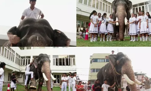 കലൂര്‍ ഗ്രീറ്റ്‌സ് പബ്ലിക് സ്‌കൂളിലെ പെറ്റ് ഷോയില്‍ ആന; റിപോര്‍ട്ട് തേടി വനംവകുപ്പ്
