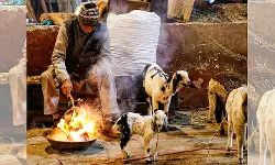 ഉത്തരേന്ത്യയില്‍ കടുത്ത തണുപ്പ്, ജാഗ്രതാ നിര്‍ദേശം