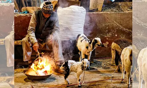 ഉത്തരേന്ത്യയില്‍ കടുത്ത തണുപ്പ്, ജാഗ്രതാ നിര്‍ദേശം