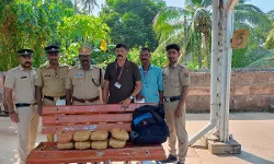 താനൂര്‍ റെയില്‍വേ സ്റ്റേഷന്‍ പരിസരത്തുനിന്ന് 7.6 കിലോ ഗ്രാം കഞ്ചാവ് എക്‌സൈസ് കണ്ടെത്തി