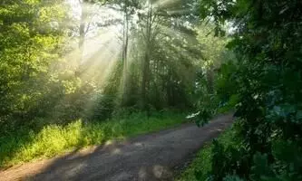 മഴ മാറി, ഇനി വെയിലെന്ന് കാലാവസ്ഥ വകുപ്പ് മഴ മാറി, ഇനി വെയിലെന്ന് കാലാവസ്ഥ വകുപ്പ്