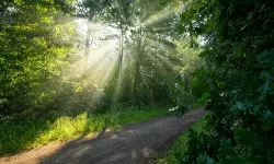 സംസ്ഥാനത്ത് ഈ മാസം ചൂട് കൂടുമെന്ന് കേന്ദ്ര കാലാവസ്ഥ വകുപ്പ്