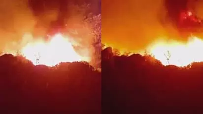 ചെല്ലാനം ഹാര്ബറില് തീപിടിത്തം; വള്ളങ്ങളും കടകളും കത്തി നശിച്ചു ചെല്ലാനം ഹാര്ബറില് തീപിടിത്തം; വള്ളങ്ങളും കടകളും കത്തി നശിച്ചു