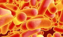 ഗുജറാത്തില്‍ ടൈഫോയിഡ് പടര്‍ന്നു പിടിക്കുന്നു; 100ലധികം പേര്‍ ചികില്‍സ തേടി