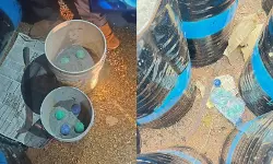 പാനൂരില്‍ ബോംബെന്ന് സംശയിക്കുന്ന ഐസ്‌ക്രീം ബോളുകള്‍ കണ്ടെത്തി