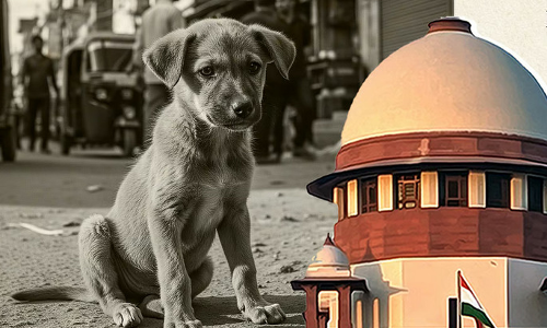 നായ്ക്കള്‍ക്ക് തങ്ങളെ ഭയക്കുന്നവരുടെ ഗന്ധം തിരിച്ചറിയാന്‍ കഴിയും, അവ ആക്രമിക്കും; തെരുവുനായ വിഷയത്തില്‍ സുപ്രിംകോടതി