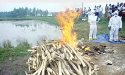 പക്ഷിപ്പനി നഷ്ടപരിഹാരം വീണ്ടും വൈകും