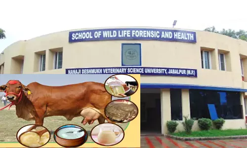 പഞ്ചഗവ്യവും കാന്‍സര്‍ ചികില്‍സയും; ഗവേഷണ ഫണ്ടില്‍ വന്‍ തട്ടിപ്പെന്ന് കണ്ടെത്തല്‍