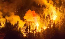 അര്‍ജന്റീനയിലെ കാട്ടുതീയ്ക്ക് പിന്നില്‍ ഇസ്രായേലികളെന്ന് പ്രതിപക്ഷം