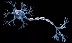 ഇന്‍ഡോര്‍ കുടിവെള്ള ദുരന്തത്തിന് പിന്നാലെ മധ്യപ്രദേശില്‍ ജിബിഎസ് പടരുന്നു; നീമുച്ചില്‍ രണ്ടു മരണം