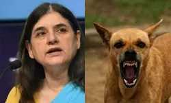 ശരീരഭാഷ ശ്രദ്ധിക്കണം: തെരുവുനായ് കേസിലെ പരാമര്‍ശത്തില്‍ മനേകാ ഗാന്ധിയെ വിമര്‍ശിച്ച് സുപ്രിംകോടതി