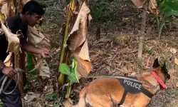 കോട്ടയത്തെ റബര്‍ ബോര്‍ഡ് ക്വാര്‍ട്ടേഴ്സില്‍ വന്‍ കവര്‍ച്ച; 100 പവന്‍ സ്വര്‍ണം നഷ്ടമായി