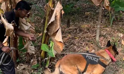 കോട്ടയത്തെ റബര്‍ ബോര്‍ഡ് ക്വാര്‍ട്ടേഴ്സില്‍ വന്‍ കവര്‍ച്ച; 100 പവന്‍ സ്വര്‍ണം നഷ്ടമായി