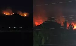 മണ്ണാര്‍ക്കാട് മങ്കട മലയില്‍ തീപിടിത്തം