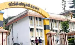 ഭൂമി തരംമാറ്റാനുള്ള നടപടി സ്വീകരിച്ചില്ലെന്ന പരാതി; വയനാട് ഡെപ്യൂട്ടി കളക്ടര്‍ സി ഗീതക്ക് സസ്‌പെന്‍ഷന്‍