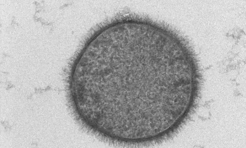 ബാസിലസ് സബ്റ്റിലിസ് കേരളത്തിന്റെ സൂക്ഷ്മാണു ബാസിലസ് സബ്റ്റിലിസ് കേരളത്തിന്റെ സൂക്ഷ്മാണു
