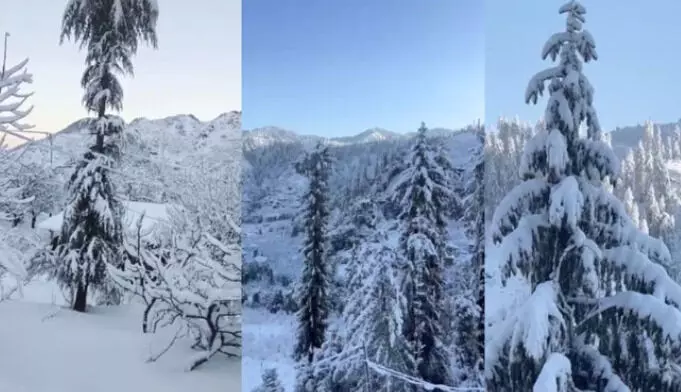 ഹിമാചല് പ്രദേശില് മഞ്ഞുവീഴ്ച ഹിമാചല് പ്രദേശില് മഞ്ഞുവീഴ്ച