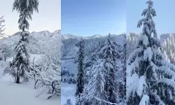 ഹിമാചല് പ്രദേശില് മഞ്ഞുവീഴ്ച ഹിമാചല് പ്രദേശില് മഞ്ഞുവീഴ്ച